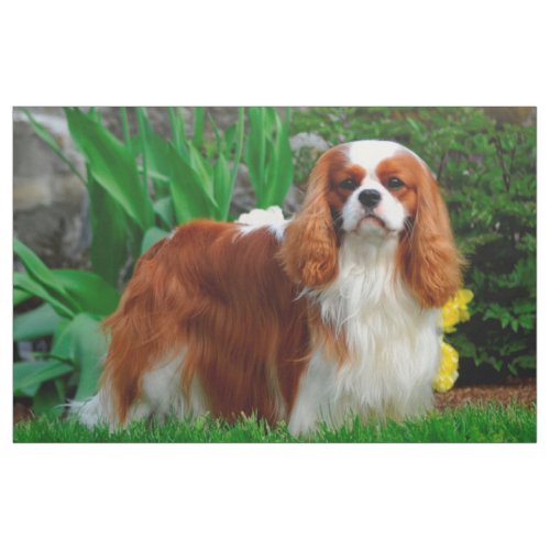 Blenheim Cavalier King Charles Spaniel Dog Panel Fabric