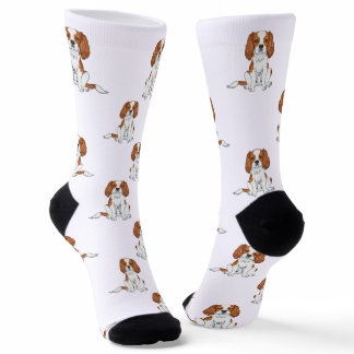 Blenheim Cavalier King Charles Spaniel Dog Pattern Socks