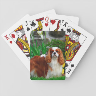 Blenheim Cavalier King Charles Spaniel Dog Playing Cards