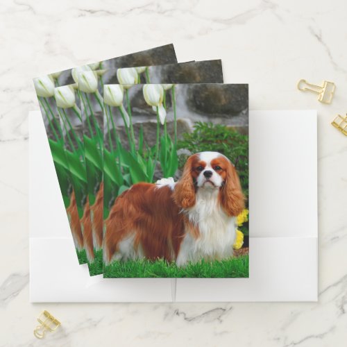 Blenheim Cavalier King Charles Spaniel Dog Pocket Folder