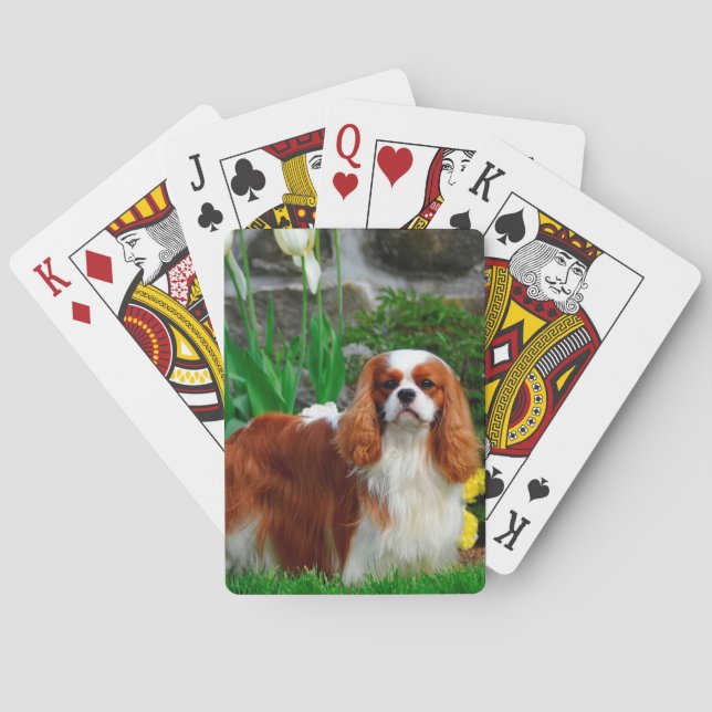 Blenheim Cavalier King Charles Spaniel Dog Poker Cards (Back)