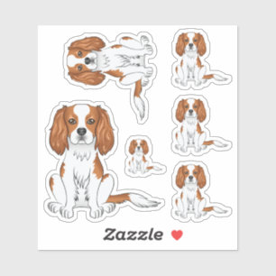 Blenheim Cavalier King Charles Spaniel Dog Sitting Sticker