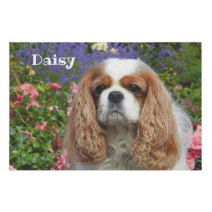 Blenheim Cavalier King Charles Spaniel in Flowers Faux Canvas Print