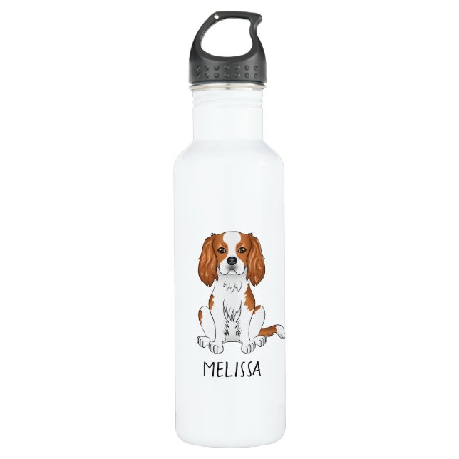 Blenheim Cavalier King Charles Spaniel & Name Stainless Steel Water Bottle (Front)