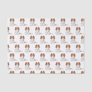 Blenheim Cavalier King Charles Spaniel Pattern Tissue Paper