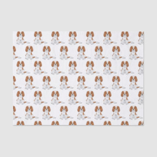 Blenheim Cavalier King Charles Spaniel Pattern Tissue Paper