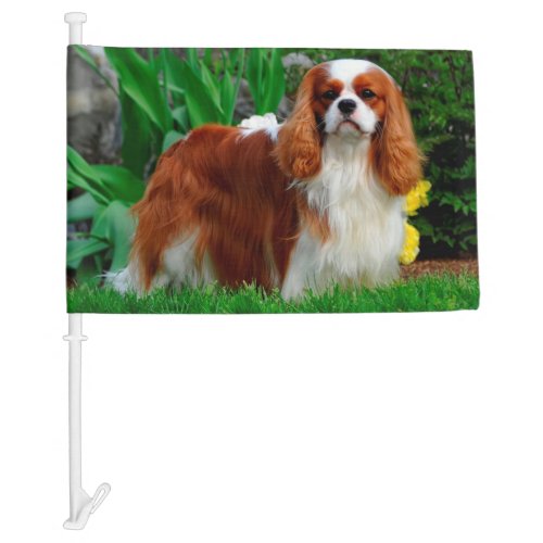 Blenheim Cavalier King Charles Spaniel Puppy Dog Car Flag