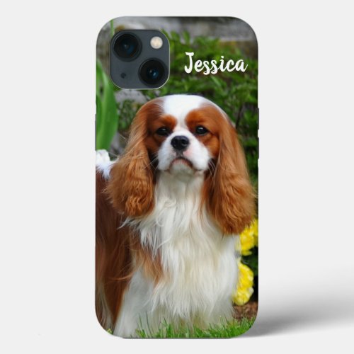 Blenheim Cavalier King Charles Spaniel Puppy Dog iPhone 13 Case