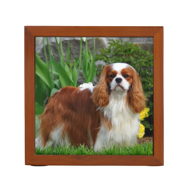 Blenheim Cavalier King Charles Spaniel Puppy Dog Desk Organizer (Front)