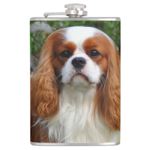 Blenheim Cavalier King Charles Spaniel Puppy Dog Flask