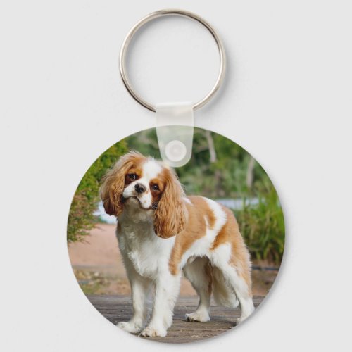 Blenheim Cavalier King Charles Spaniel Puppy Dog Keychain