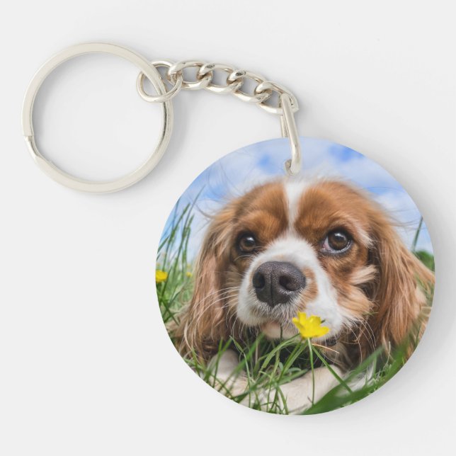 Blenheim Cavalier King Charles Spaniel Puppy Dog Keychain (Front)