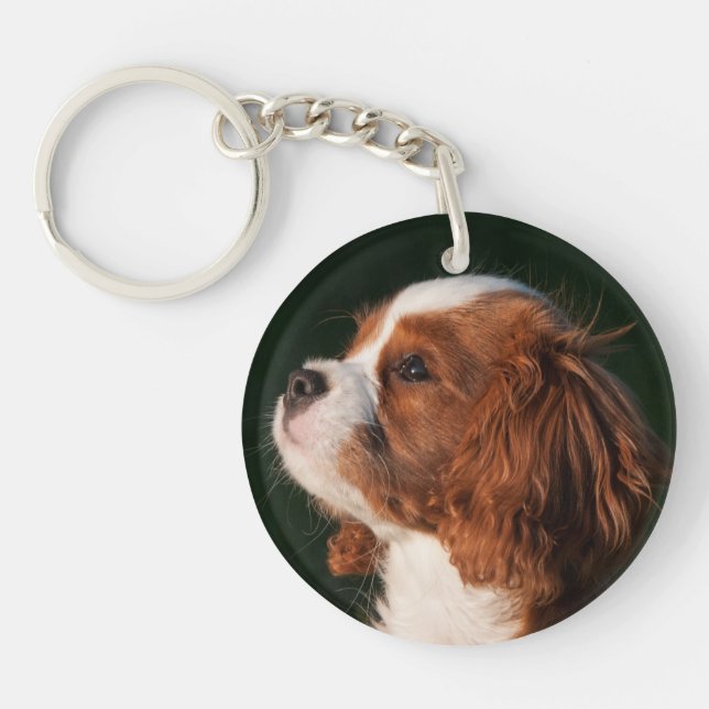 Blenheim Cavalier King Charles Spaniel Puppy Dog Keychain (Front)