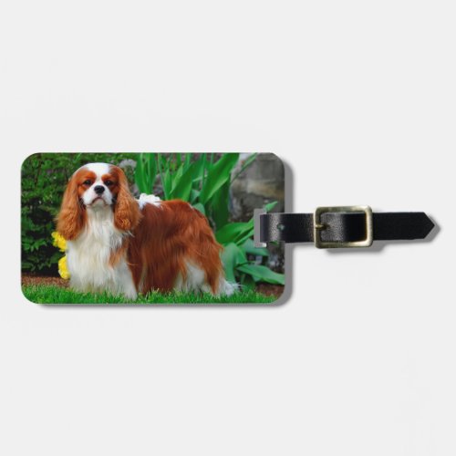 Blenheim Cavalier King Charles Spaniel Puppy Dog Luggage Tag