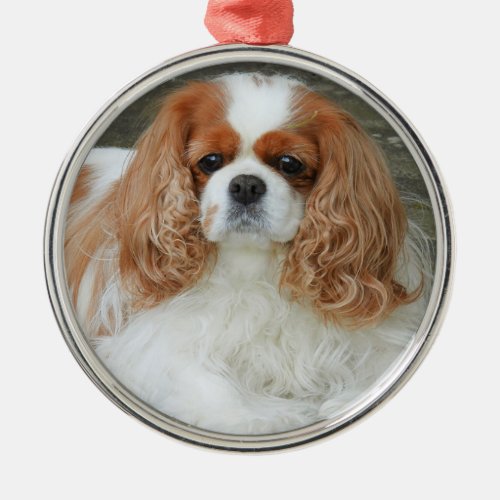 Blenheim Cavalier King Charles Spaniel Puppy Dog Metal Ornament