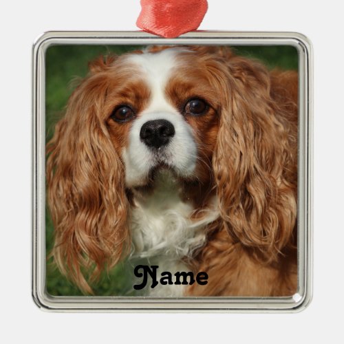 Blenheim Cavalier King Charles Spaniel Puppy Dog Metal Ornament