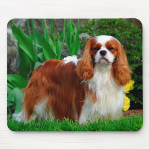 Blenheim Cavalier King Charles Spaniel Puppy Dog Mouse Pad