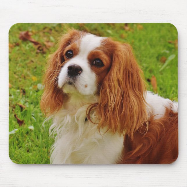 Blenheim Cavalier King Charles Spaniel Puppy Dog Mouse Pad (Front)