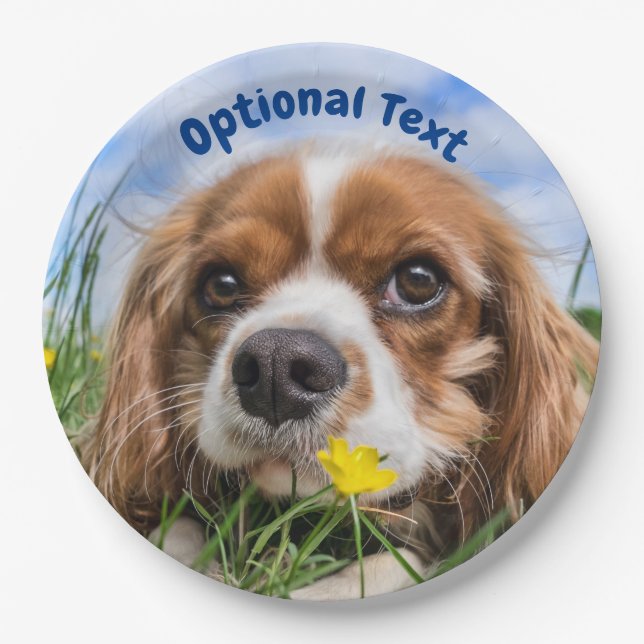 Blenheim Cavalier King Charles Spaniel Puppy Dog Paper Plates (Front)
