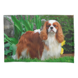 Blenheim Cavalier King Charles Spaniel Puppy Dog Pillow Case