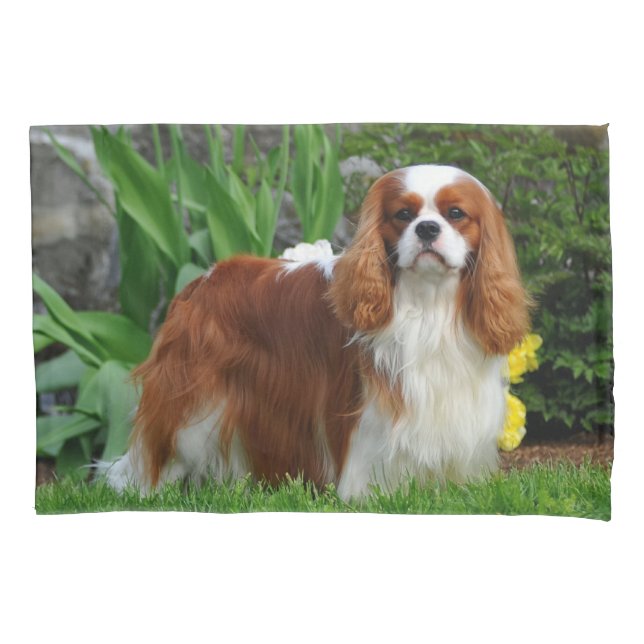 Blenheim Cavalier King Charles Spaniel Puppy Dog Pillow Case (Front)