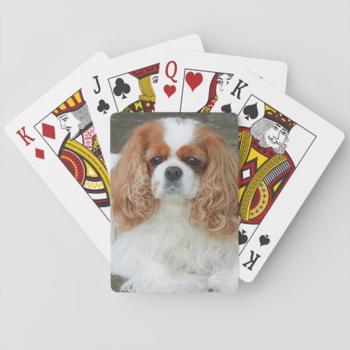 Blenheim Cavalier King Charles Spaniel Puppy Dog Poker Cards