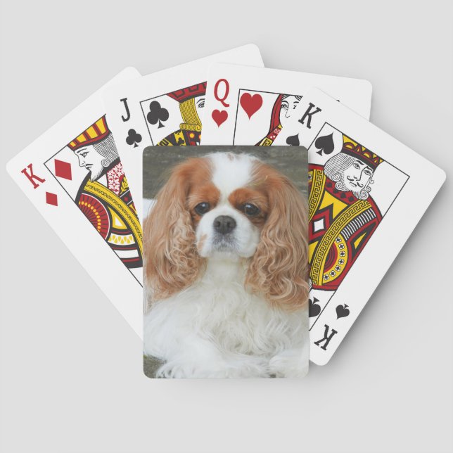 Blenheim Cavalier King Charles Spaniel Puppy Dog Poker Cards (Back)