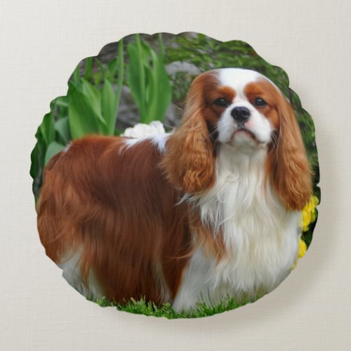 Blenheim Cavalier King Charles Spaniel Puppy Dog Round Pillow