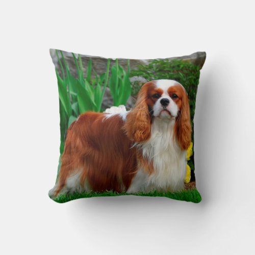 Blenheim Cavalier King Charles Spaniel Puppy Dog Throw Pillow
