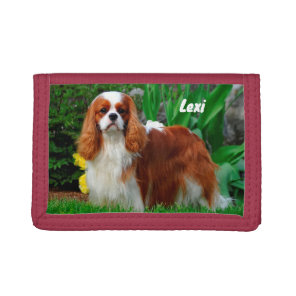 Blenheim Cavalier King Charles Spaniel Puppy Dog Tri-fold Wallet