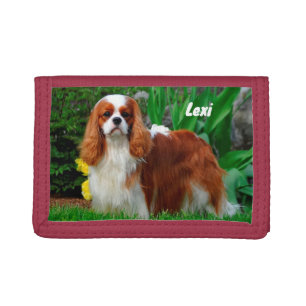 Blenheim Cavalier King Charles Spaniel Puppy Dog Trifold Wallet