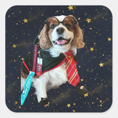 Blenheim Cavalier King Charles Wizard Square Stick Square Sticker