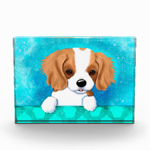 Blenheim Cavalier Spaniel Puppy Acrylic Award