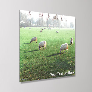 Blenheim Palace Sheep Acrylic Photo Tile