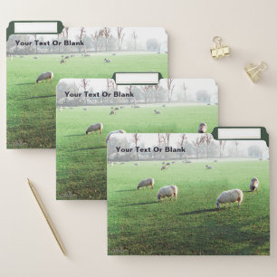 Blenheim Palace Sheep File Folder