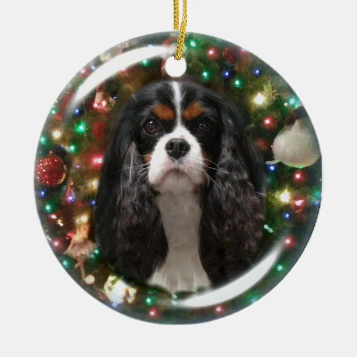 Personalized Cavalier King Charles Spaniel Blenheim Christmas Ornament