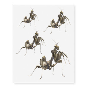blepharopsis mendica temporary tattoos