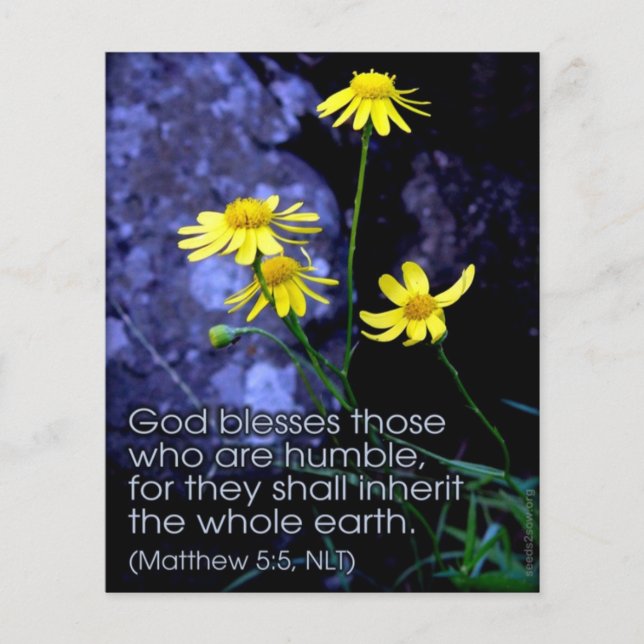 Blessed Are the Meek Flyer (Front)