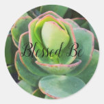 Blessed Be Succulent Classic Round Sticker