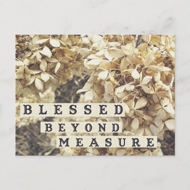 Blessed Beyond Measure Postcard (Front)
