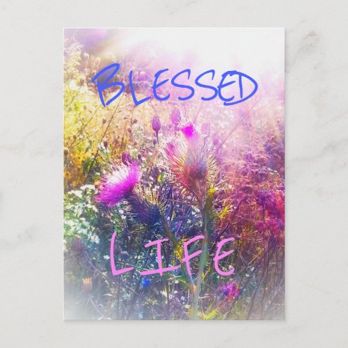 BLESSED LIFE POSTCARD