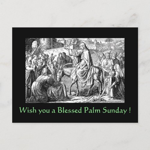 Blessed Palm Sunday Postcard