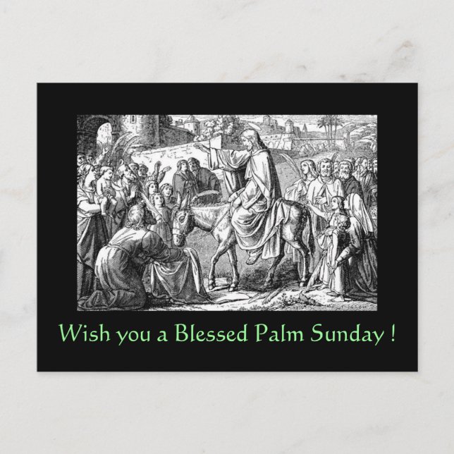 Blessed Palm Sunday Postcard (Front)
