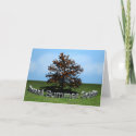 Blessed Summer Solstice Card