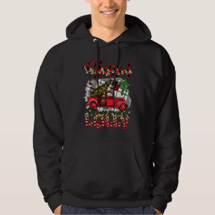 Blessed To Be Called Mamaw Christmas Red Truck Hoodie