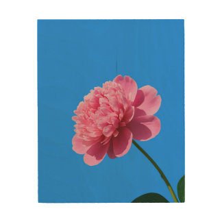 Blessing Peony Wood Wall Art