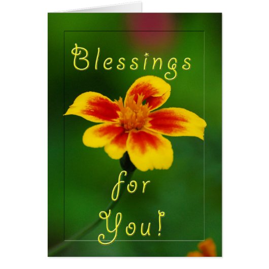 Blessings for you cards (Front)