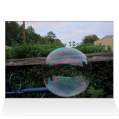 Blew you a Bubble Today Cards (Inside Horizontal (Top))