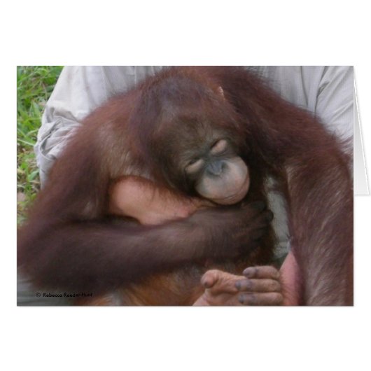 Blind Baby Orangutan Overcoming Disabilities Cards (Front Horizontal)