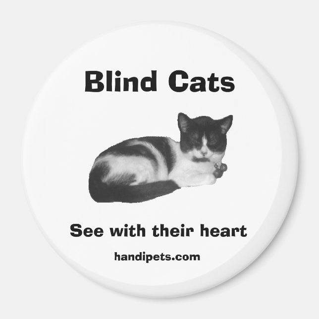 Blind Cat Magnet (Front)